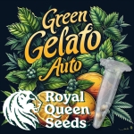Green Gelato Auto Seeds (Autoflower Sativa)